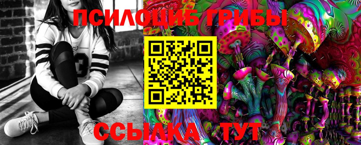 Псилоцибиновые грибы Psilocybe Камышлов