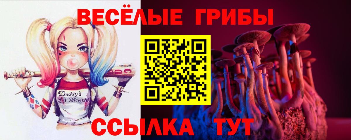 Галлюциногенные грибы мухоморы  Вход с VPN  Камышлов 