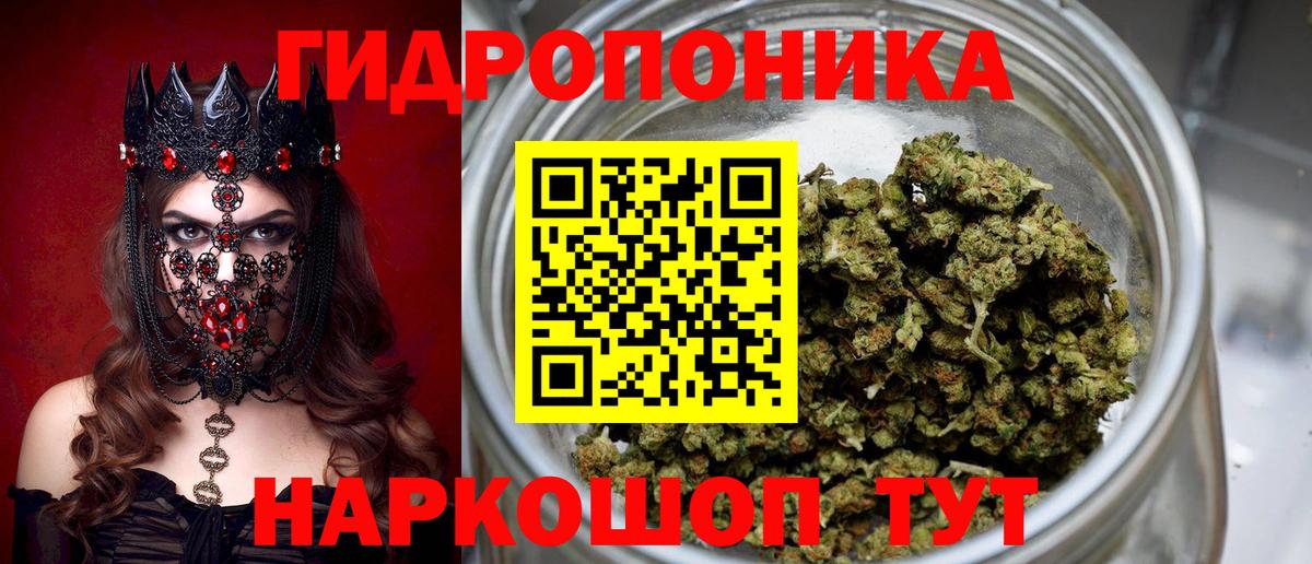 Бошки марихуана конопля Камышлов